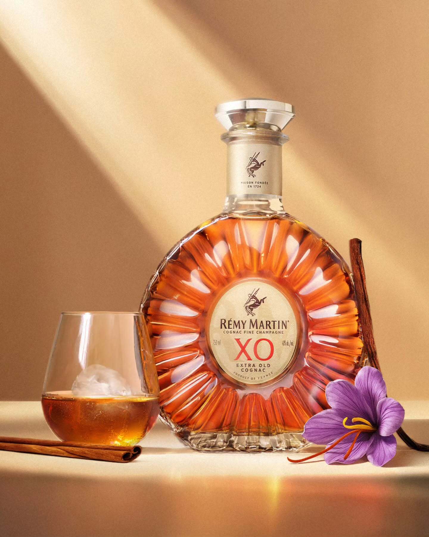 Bar & Wine Accessories | Casa Barreto Goa